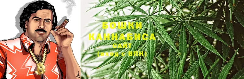 что такое   Белово  Шишки марихуана Ganja 